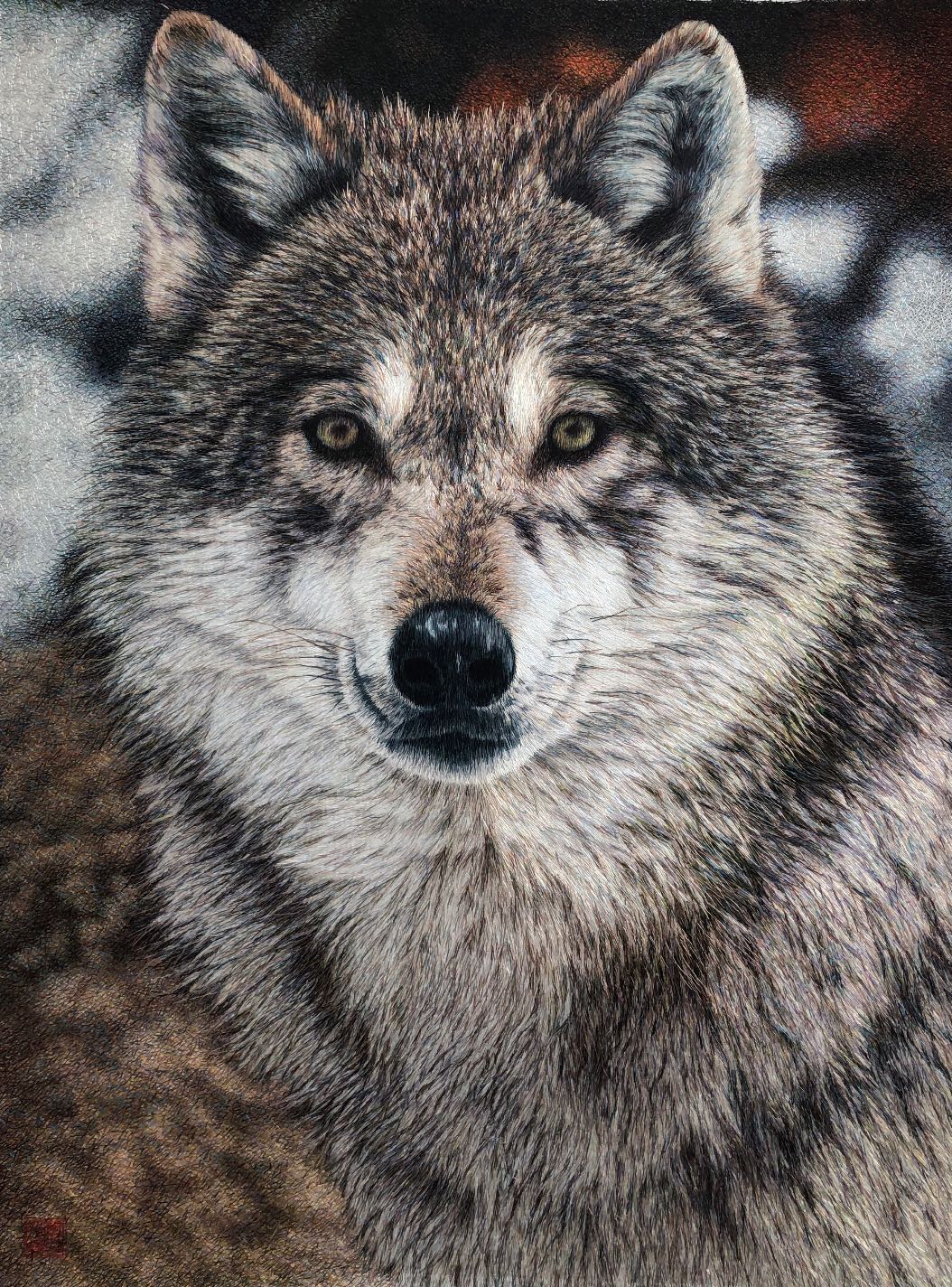 74134 Portrait of Wolf