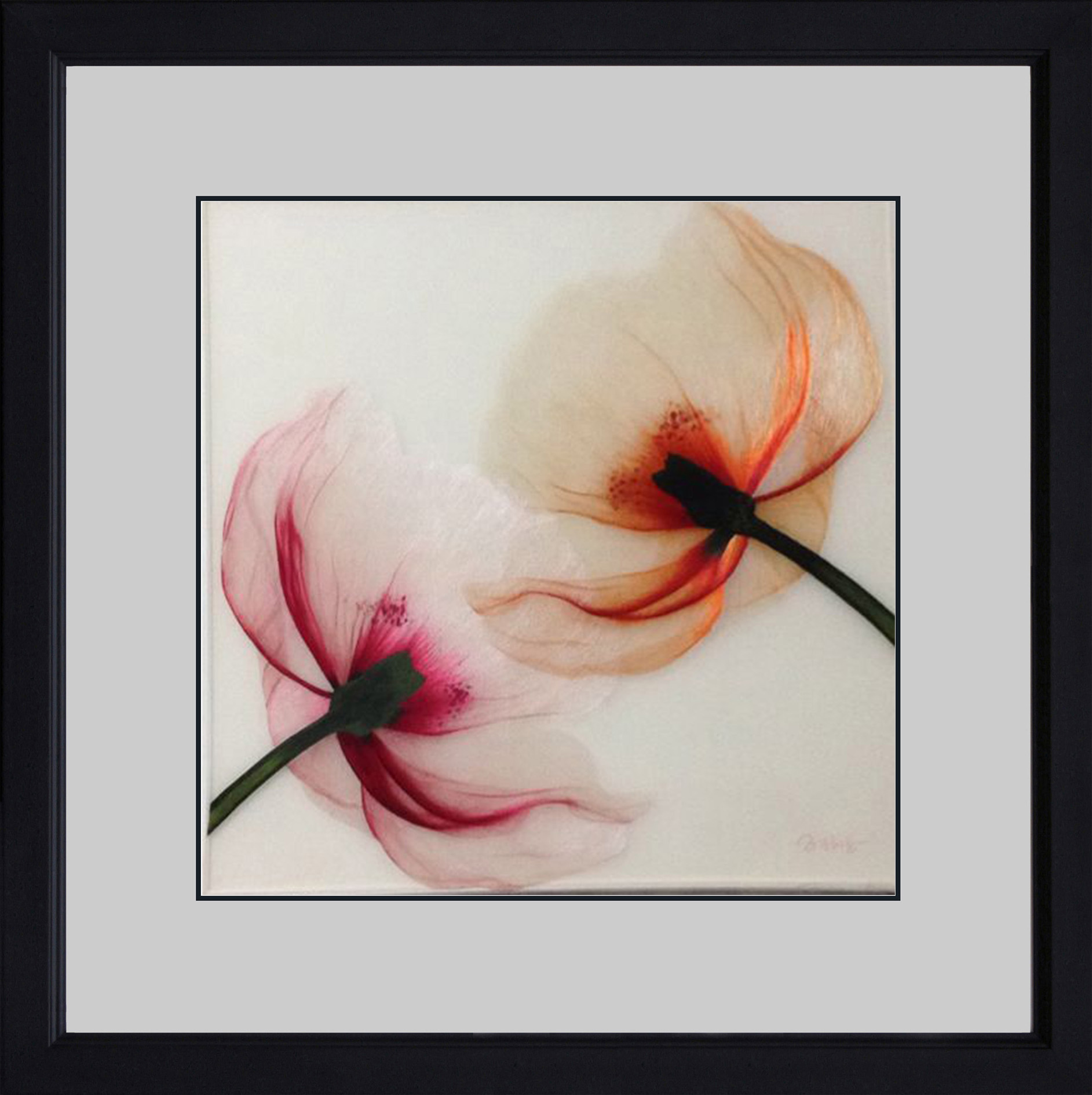 76009 Transparent Poppies - Image 2
