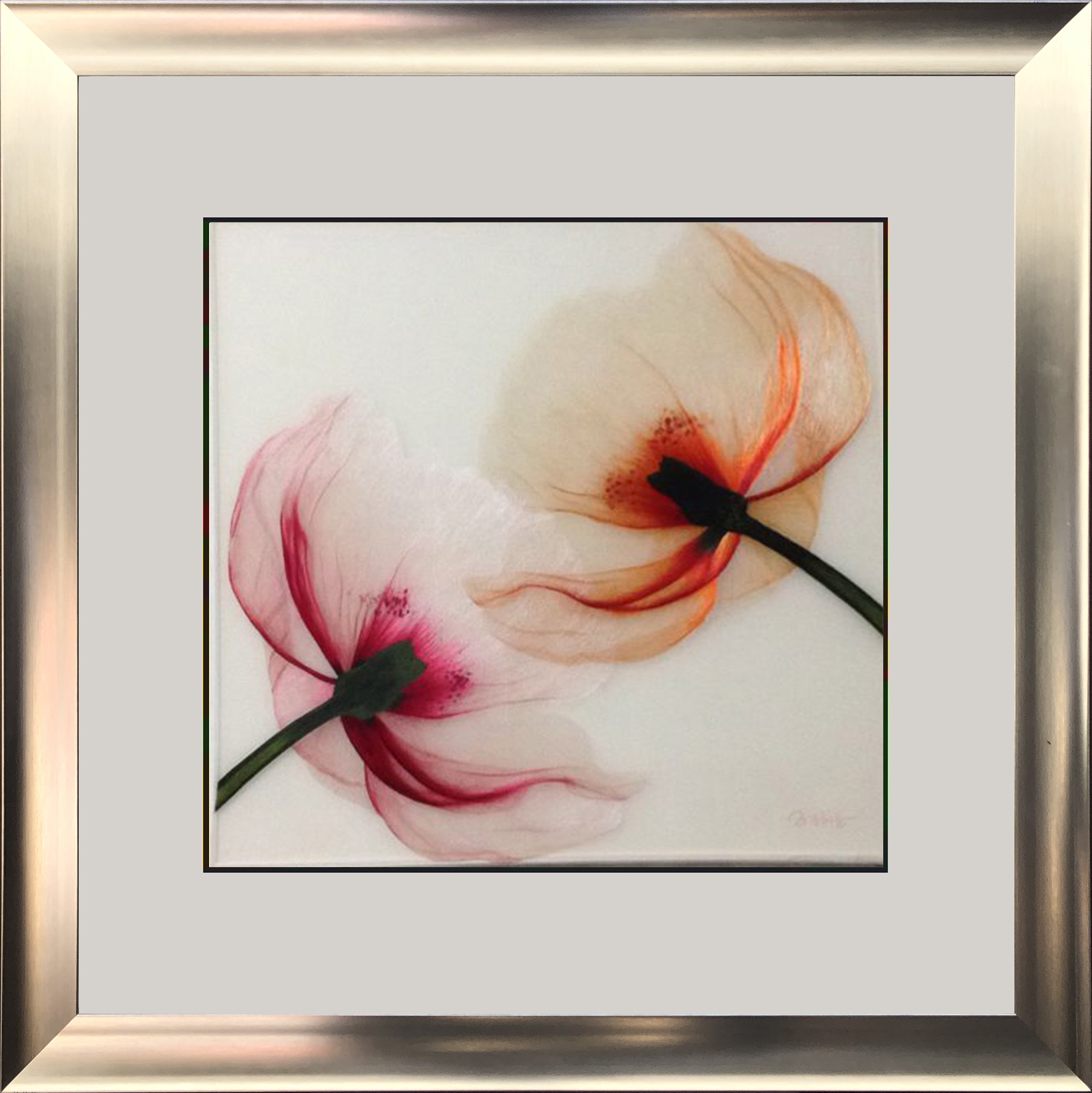 76009 Transparent Poppies - Image 3