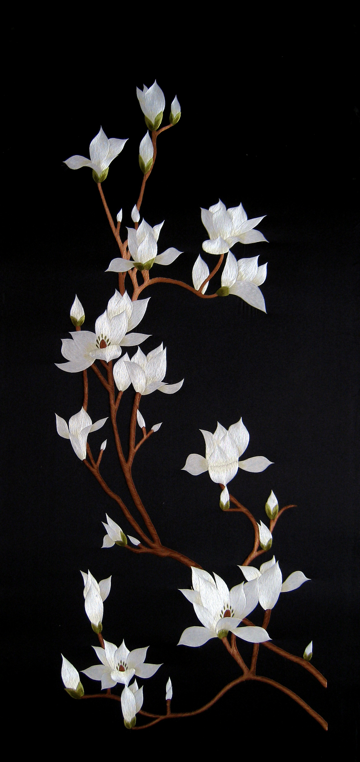 76068 White Magnolia Branch on Black