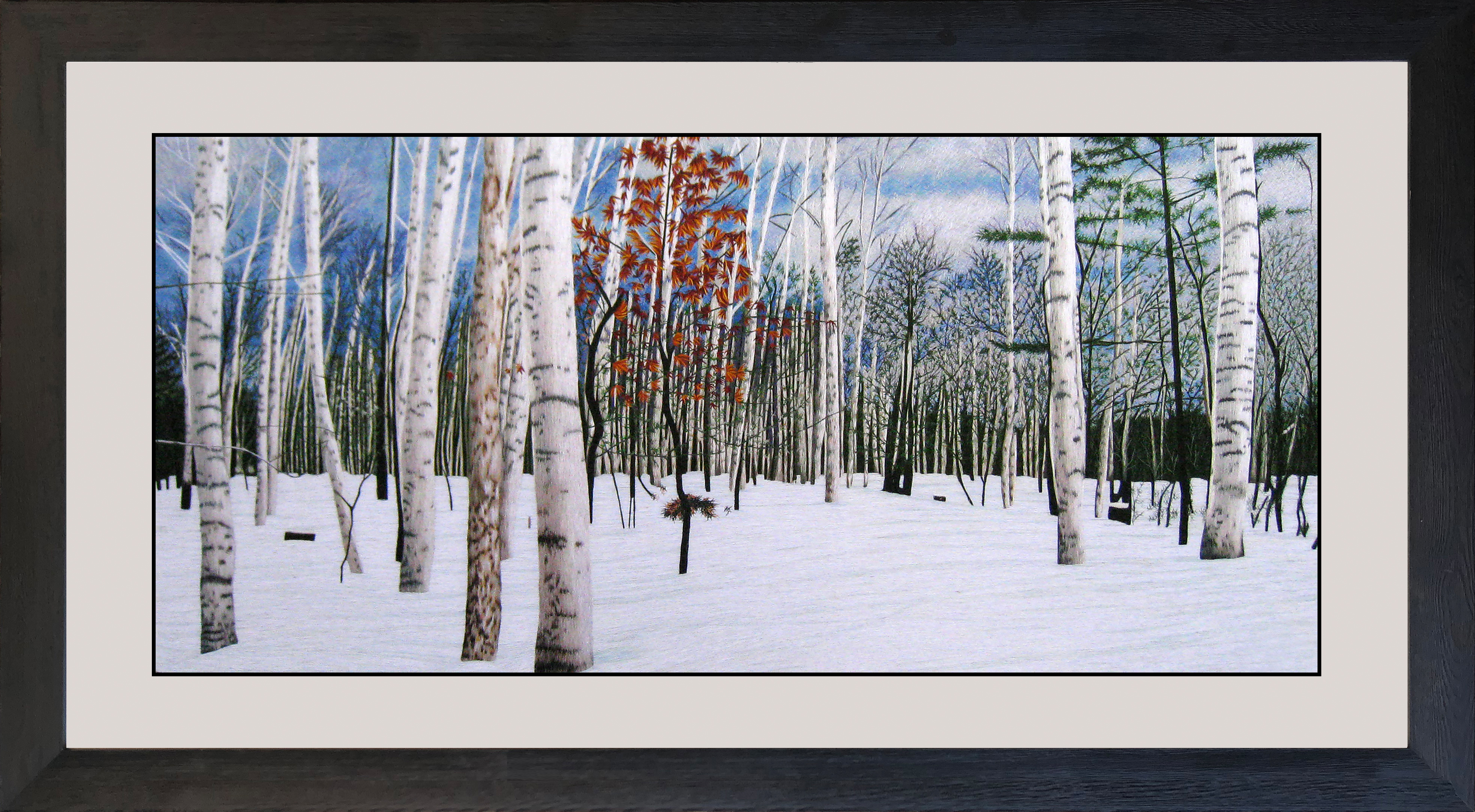 77112 Birch Tree Forest in Winter - Image 4