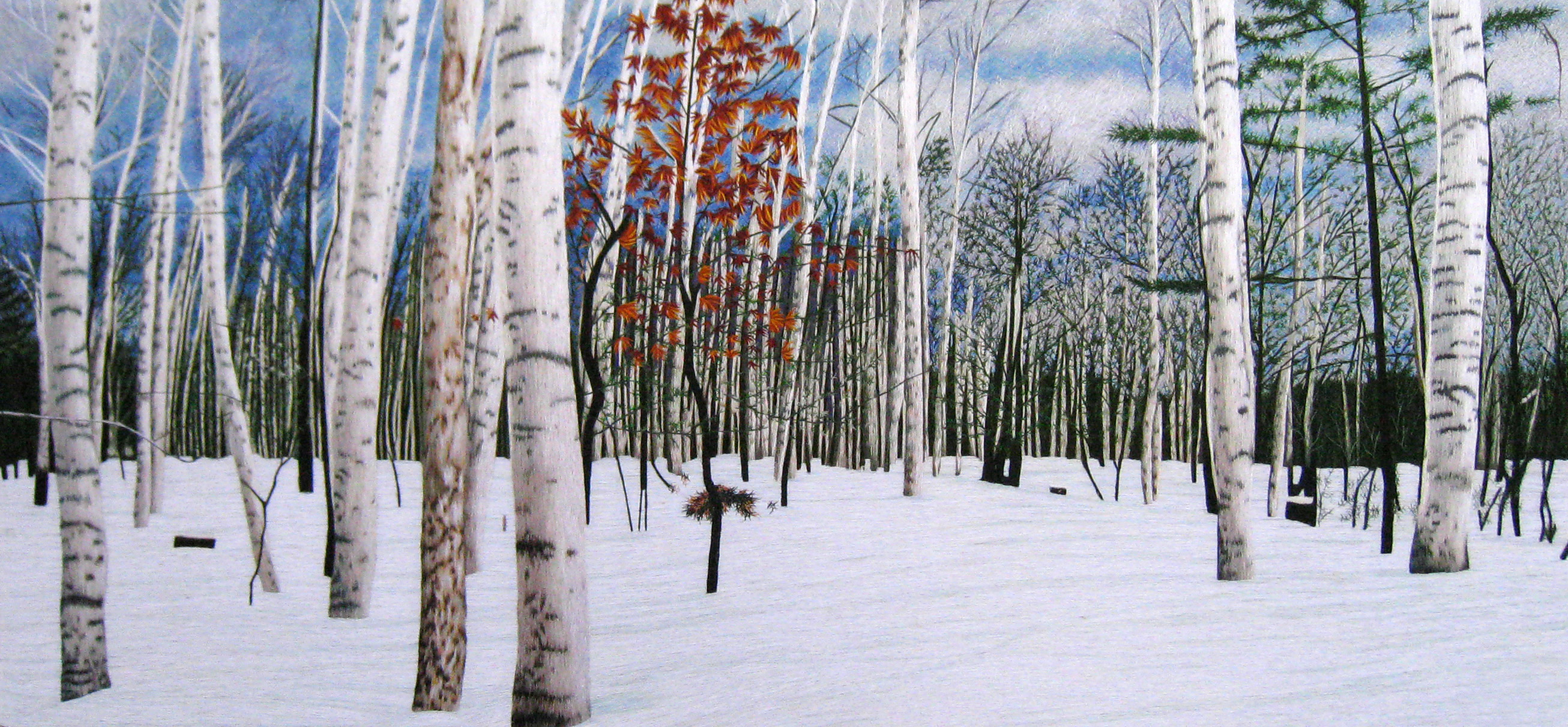 77112 Birch Tree Forest in Winter