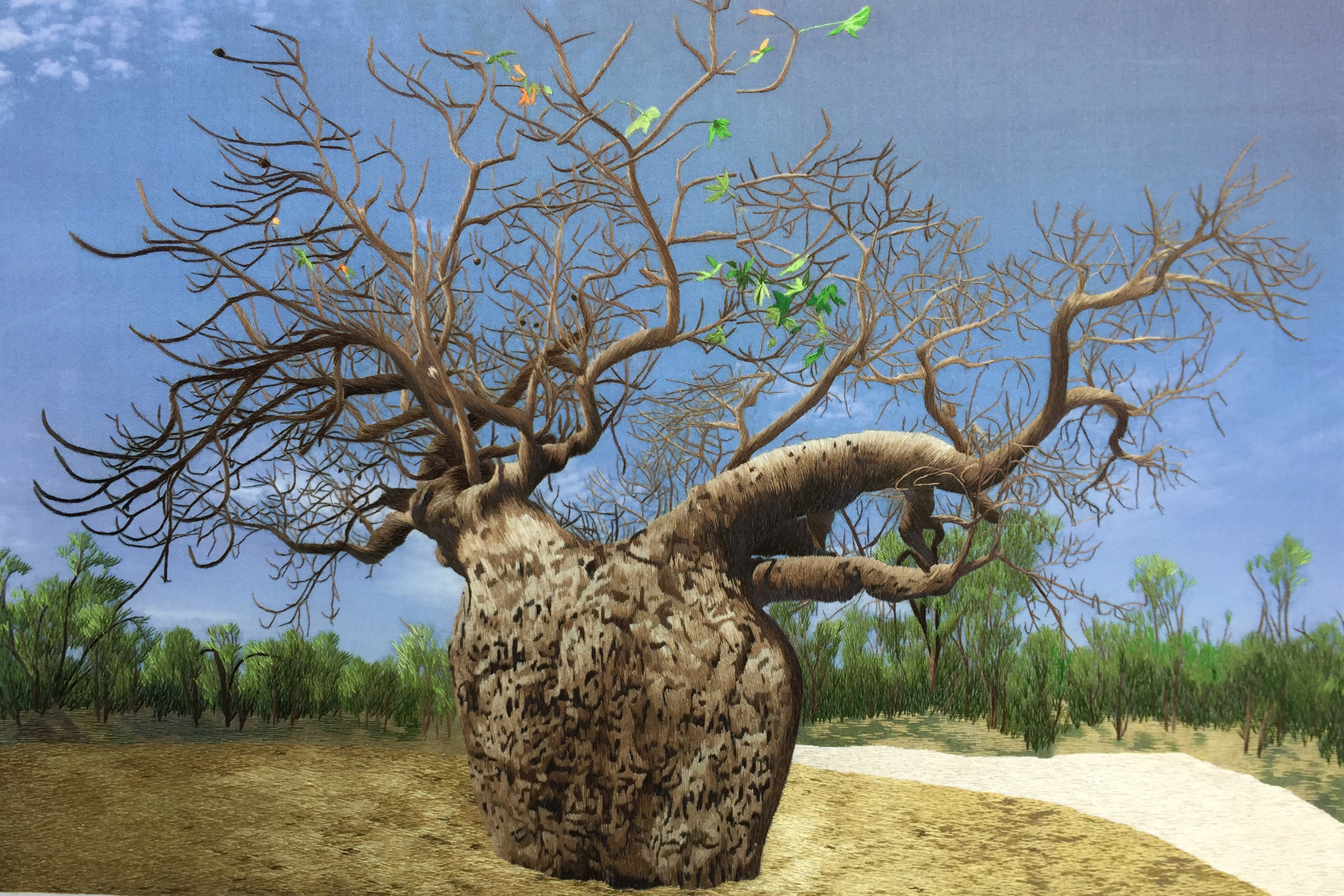 77196 Big Tree