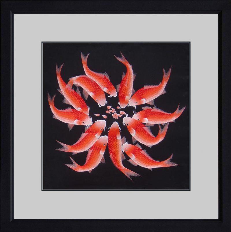 82001 50-50cm