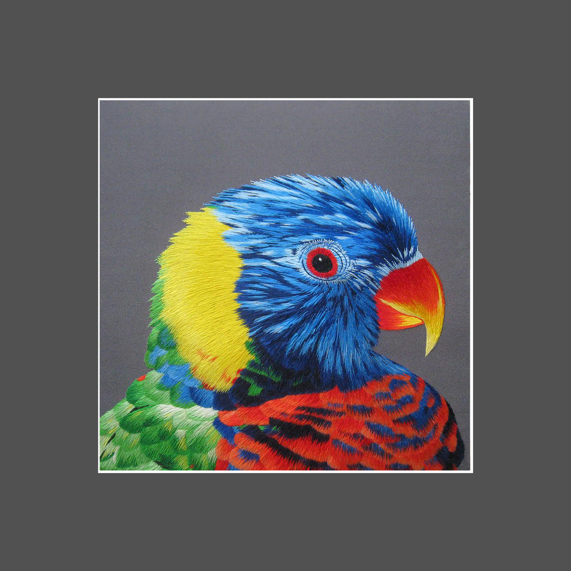 31103 PARROT - Image 3