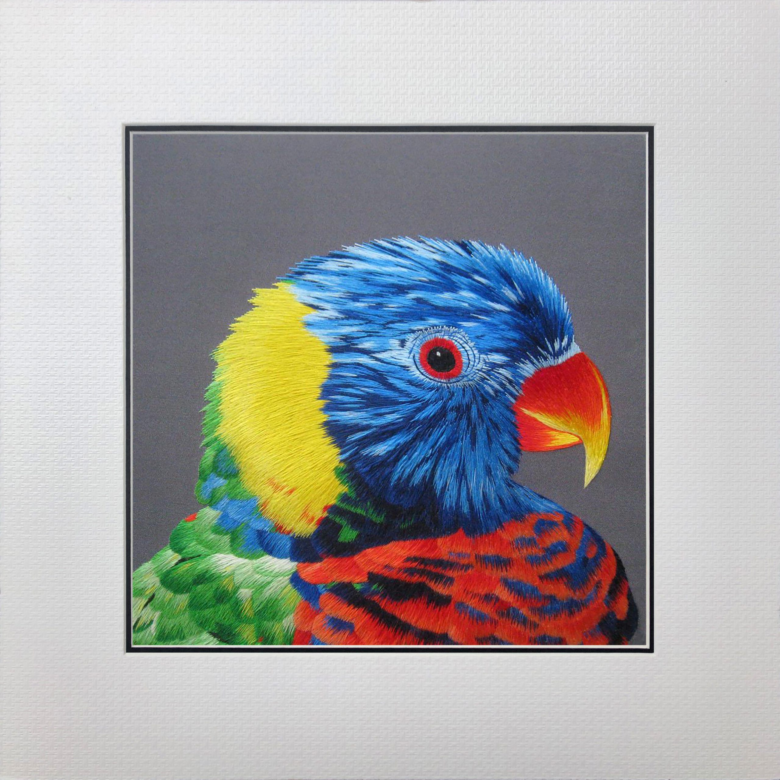 31103 PARROT - Image 4