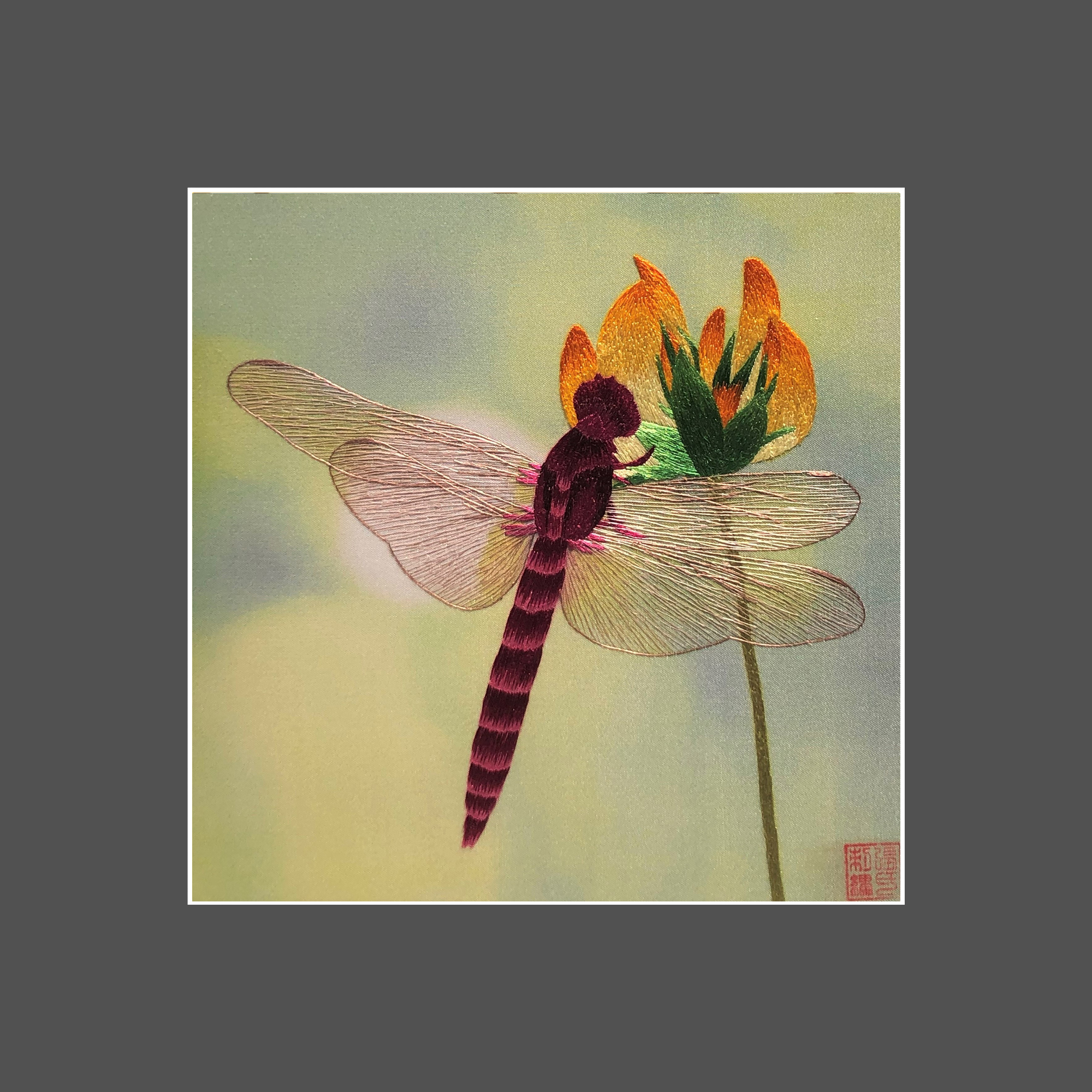 33019 DRAGON FLY - Image 3