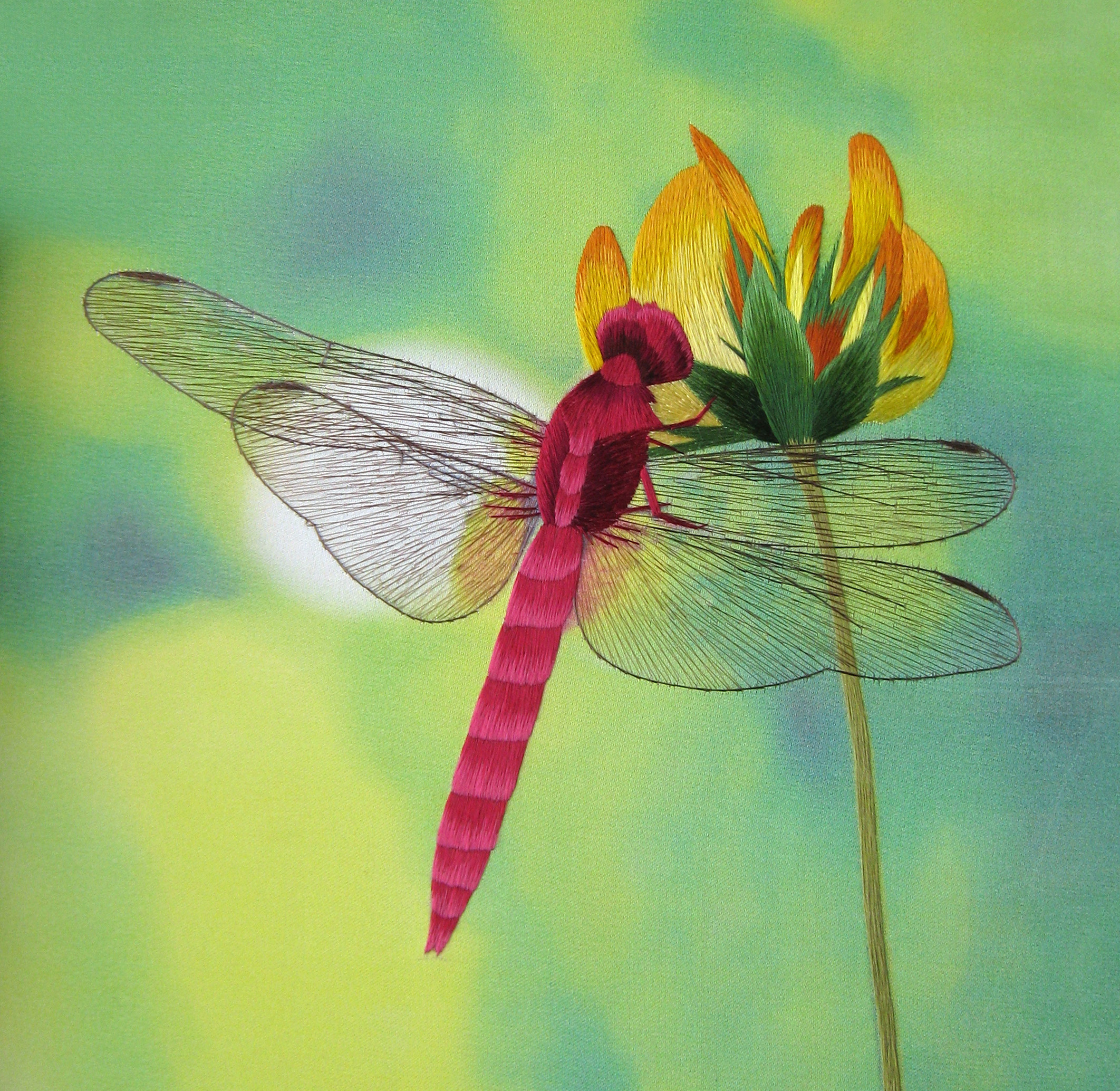 33019 DRAGON FLY