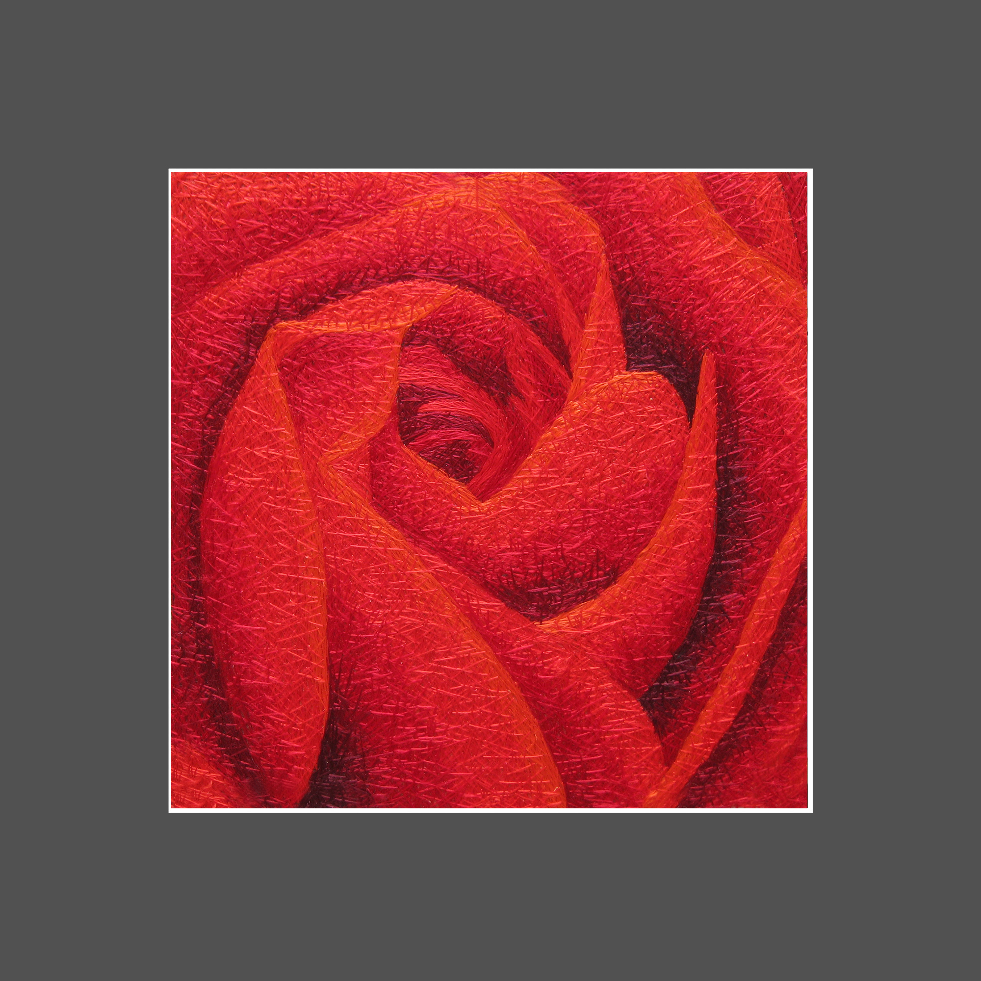 36041 ROSE - Image 3