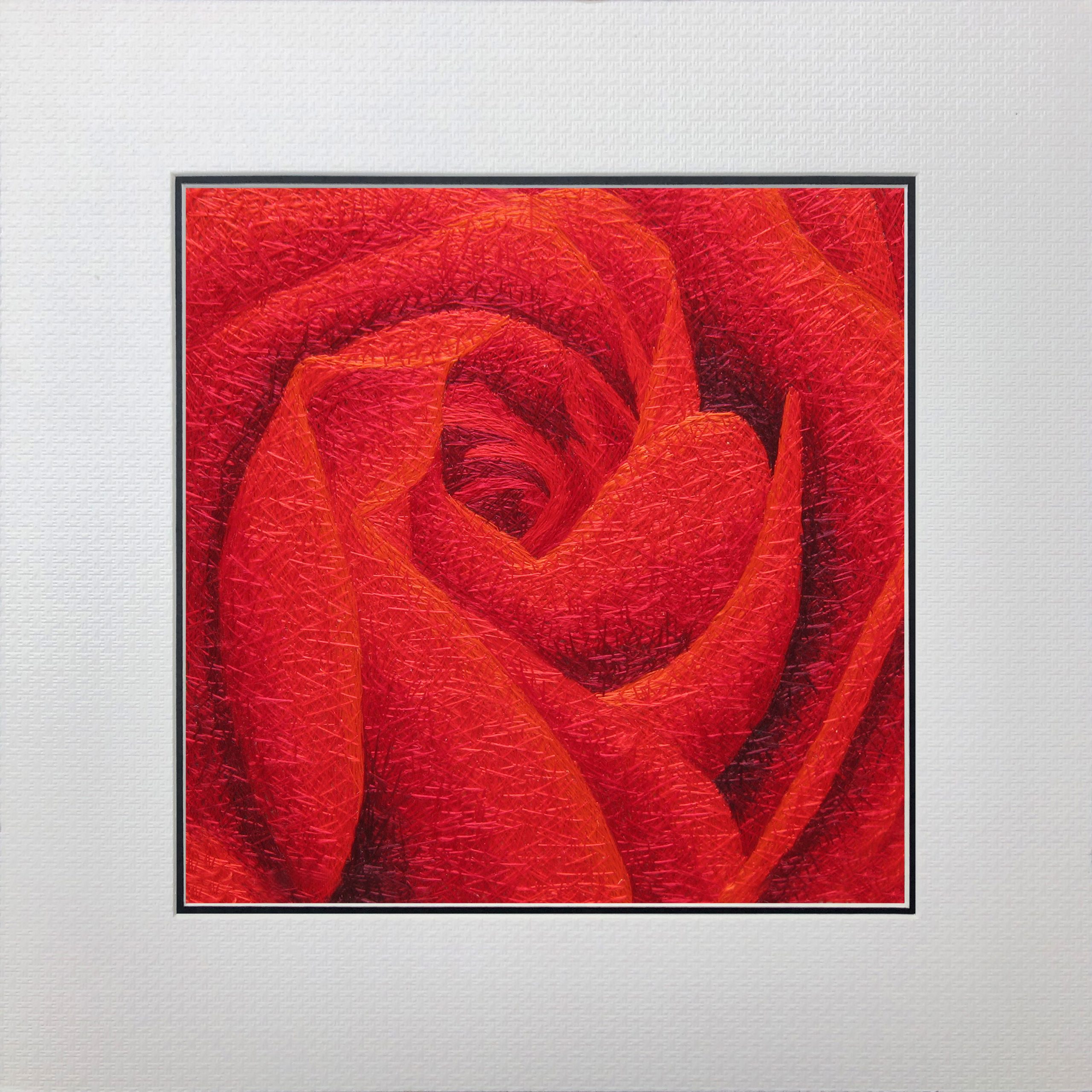 36041 ROSE - Image 4