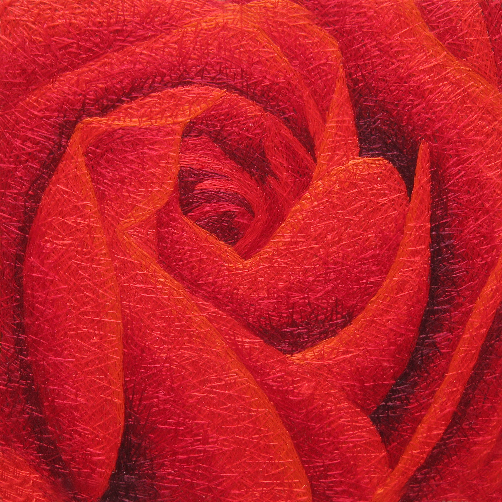 36041 ROSE