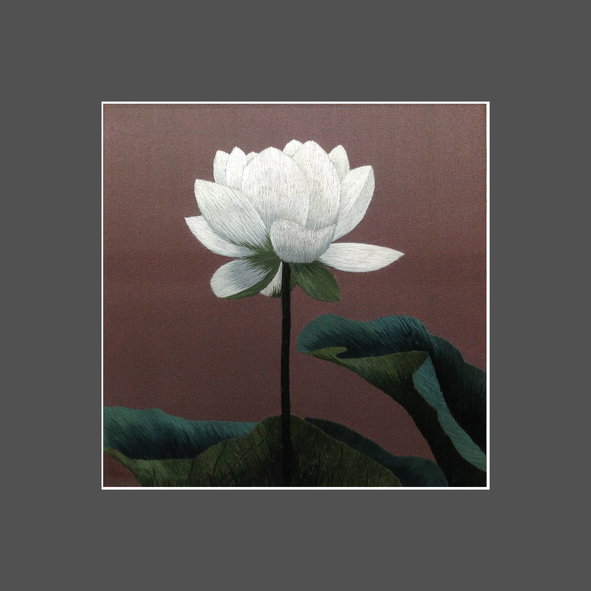 36151 White lotus flower - Image 3