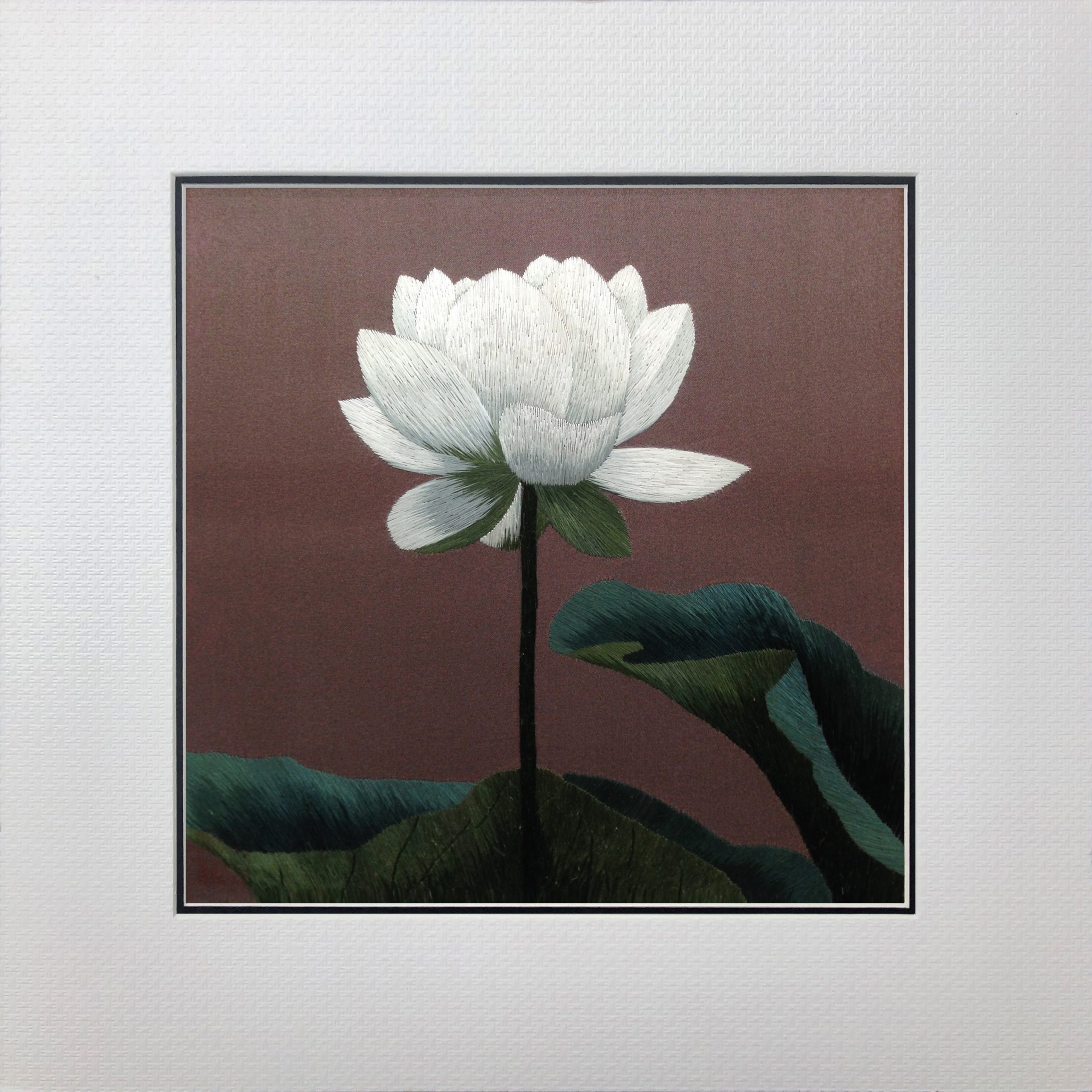36151 White lotus flower - Image 4
