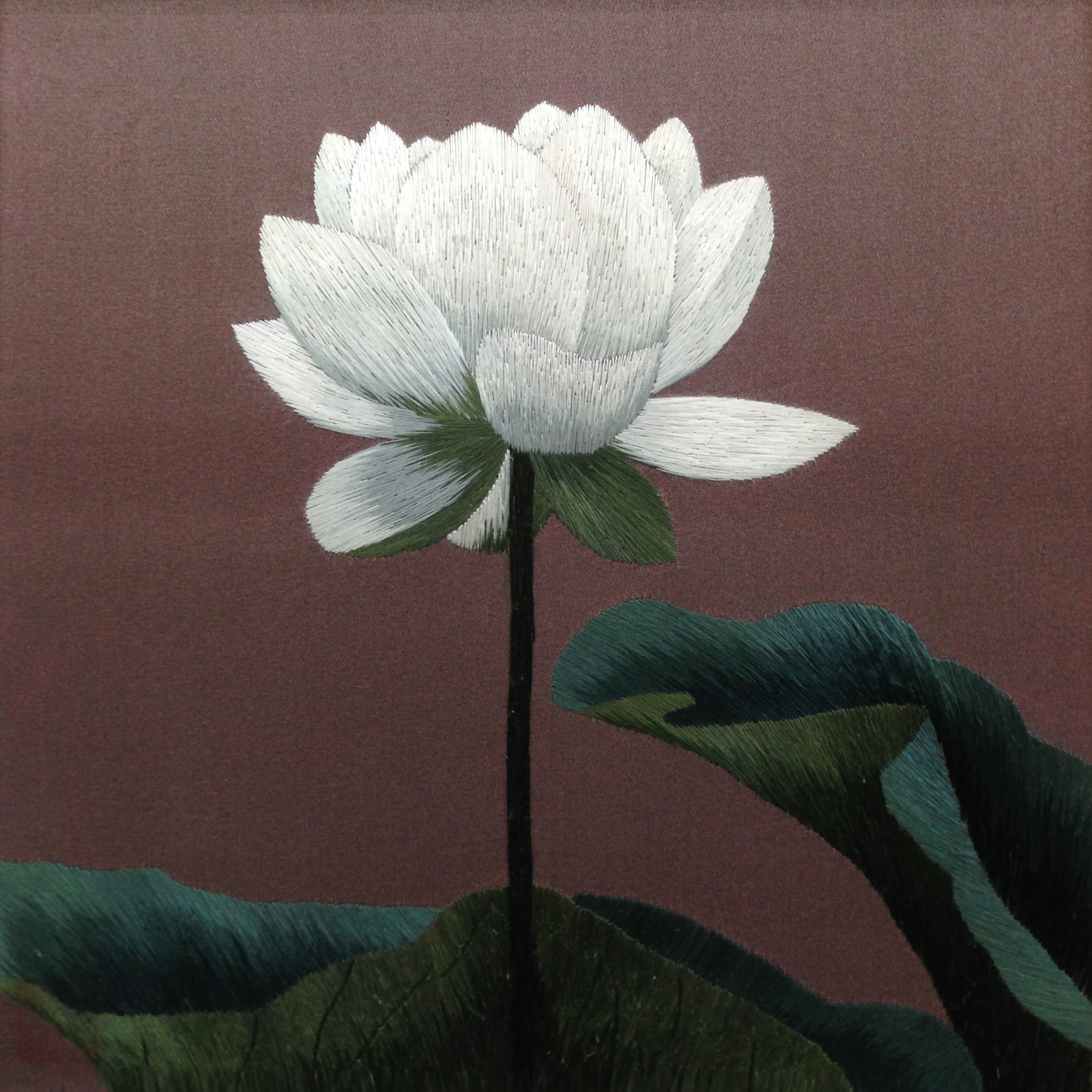 36151 White lotus flower