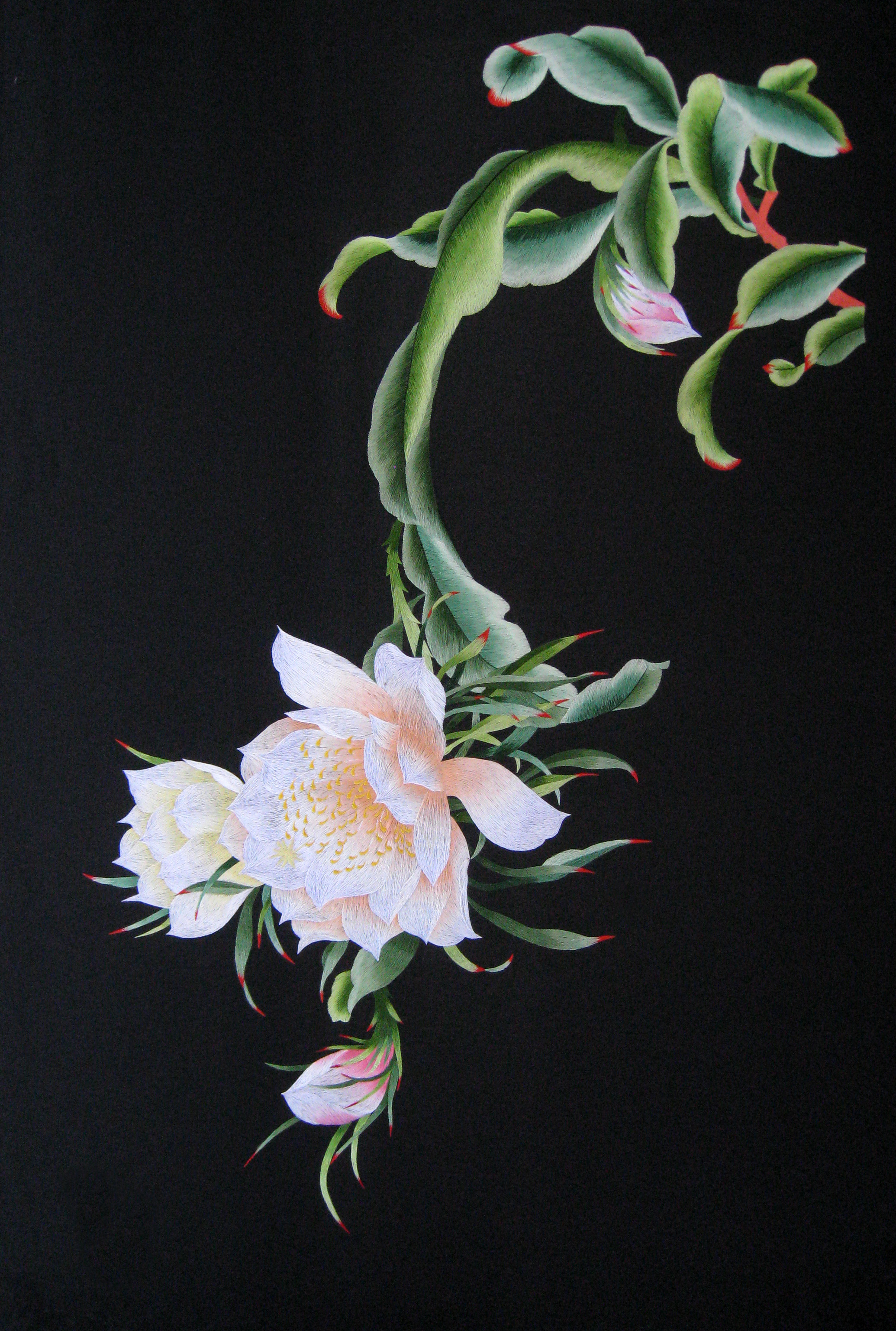 76053 Epiphany flower